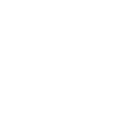 Icon 2009
