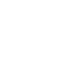 Icon 2021