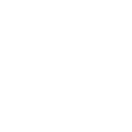 Icon 2024